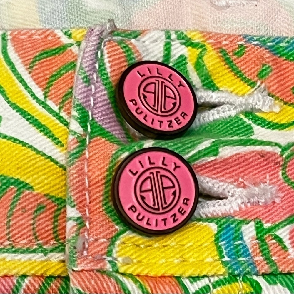 Lilly Pulitzer Clifton Shorts Pink elephant Paisley Size 0 Y2K - Picture 4 of 8